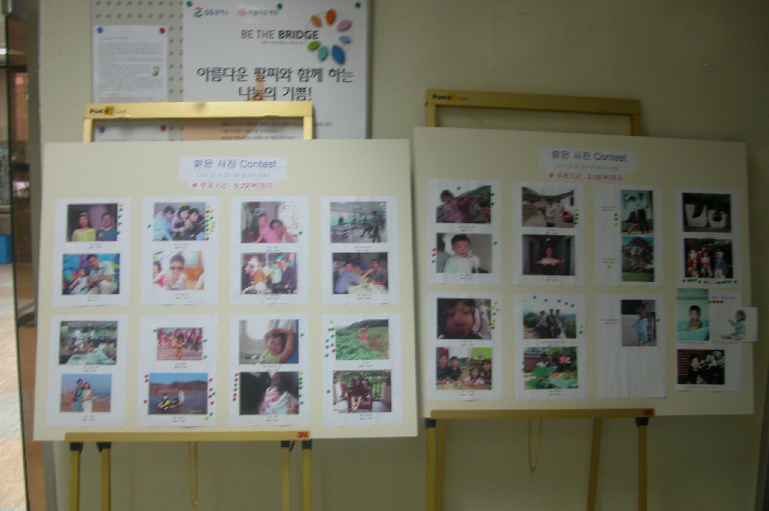 공지사항 내용 이미지