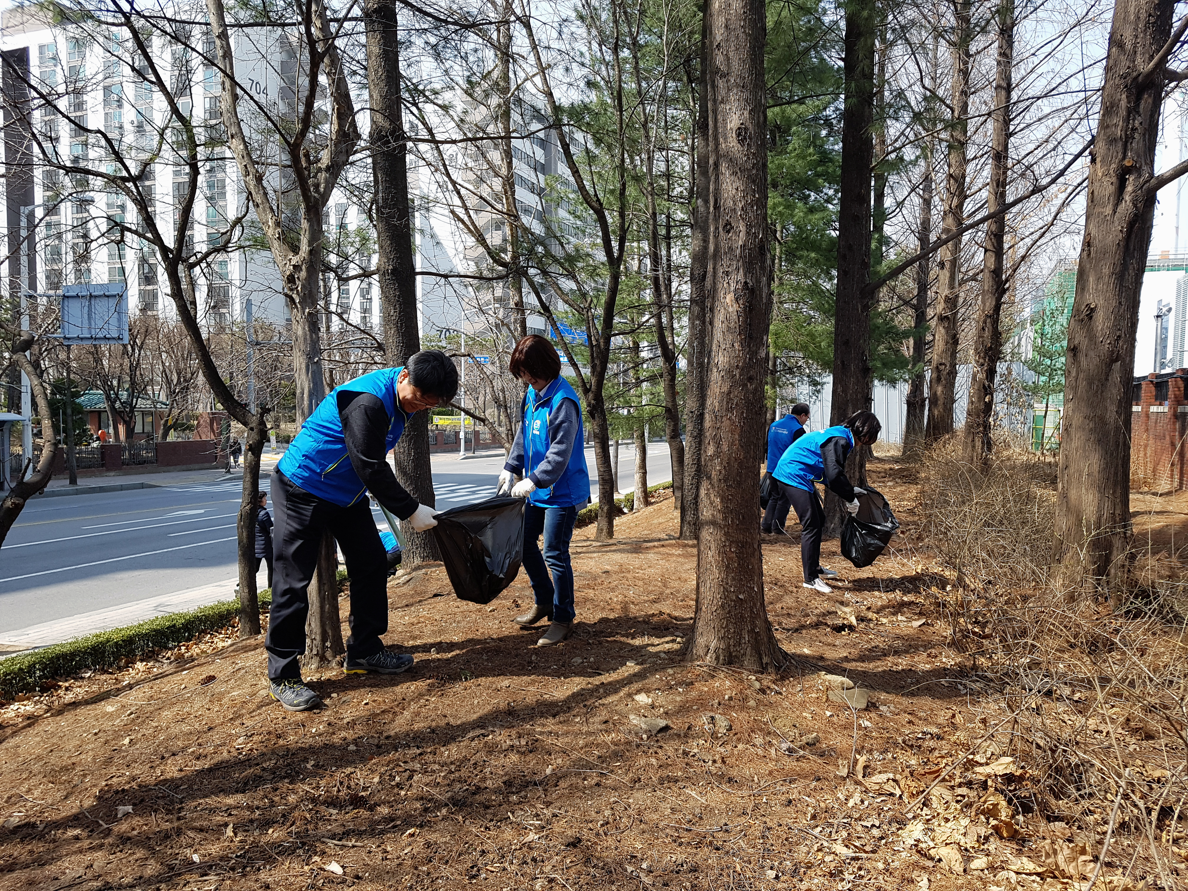 공지사항 내용 이미지