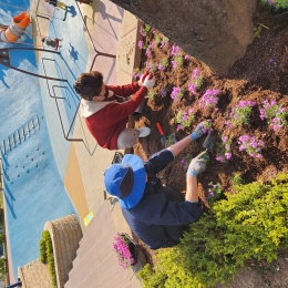 공지사항 내용 이미지